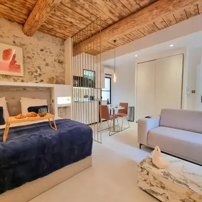25 rue Celony - Le Vendome - Jacuzzi - VideoProjecteur
