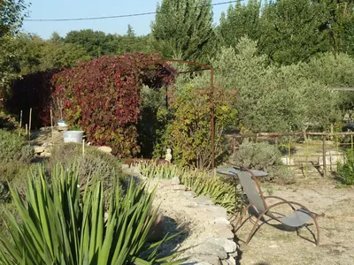 a garden with a chair and some plants at Charming Cottage in Oppède amidst Vineyards in Maubec