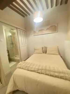 a white bedroom with a bed and a shower at Studio charmant hyper centre in Aix-en-Provence