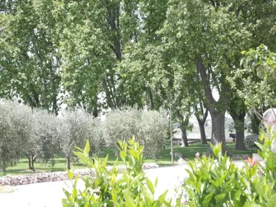 a park with trees and bushes and a road at Holiday Home in Lacoste with Pool in Lacoste
