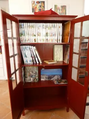 a book shelf filled with lots of books at La Calvinette in Pernes-les-Fontaines