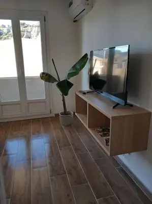 a living room with a television and a potted plant at Studio entièrement rénové in Cavaillon
