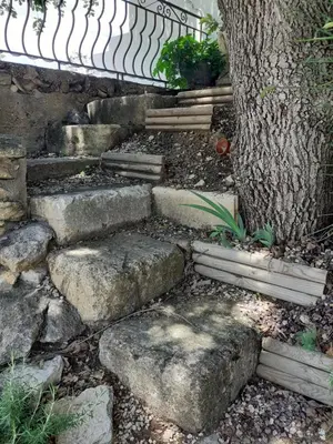 a set of stone steps next to a tree at Au pied du Luberon in Les Taillades