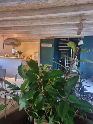 a potted plant in front of a building at Chambre DURFORT in Sault-de-Vaucluse