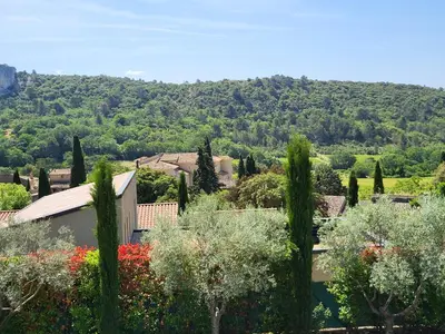 a view of a garden with trees and flowers at L'escapade provençale in Lioux