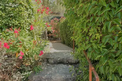 a garden with pink flowers and green plants at Bastidon de Gordes in Gordes