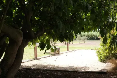 a path in a park with a tree at Authentique mas avec vue et piscine Eygalieres LS1-447 in Eygalières