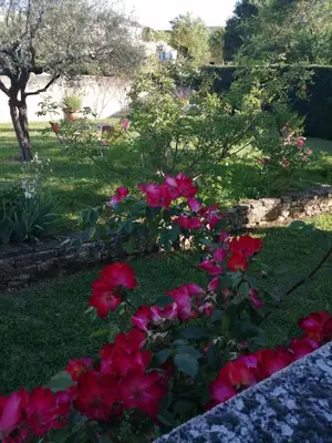 a group of red flowers in a garden at Villa en Luberon, climatisé, Piscine, wifi et Parking gratuit in Bonnieux