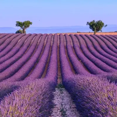 Cocon Authentique de Roussillon