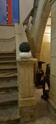 a stone pillar with a plant on it in a building at Appartement centre ville Hôtel Particulier in Carpentras