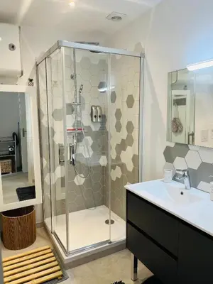 a bathroom with a shower and a sink at Le Gîte in Venelles