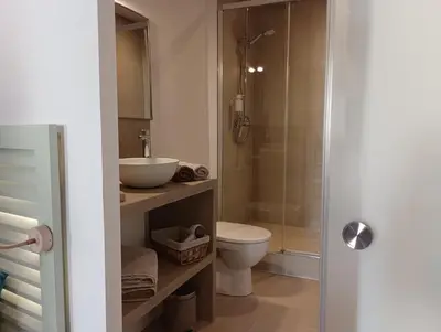 a bathroom with a toilet and a sink and a shower at Centre historique studio rénové avec vue in LʼIsle-sur-la-Sorgue