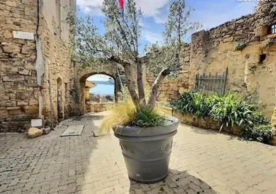 a large plant in a large pot in a courtyard at Noceta in Miramas