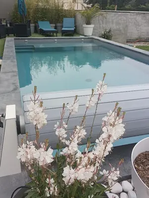 a swimming pool with pink flowers in front of it at maison en Provence pour un été sous le soleil in LʼIsle-sur-la-Sorgue