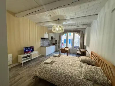a bedroom with a large bed and a television at Studio centre de Charleval in Charleval
