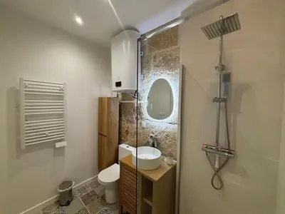 a bathroom with a shower and a sink and a toilet at Studio centre de Charleval in Charleval
