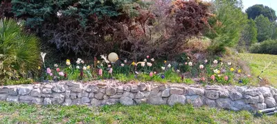 a garden of flowers in a stone wall at Maison provençale de charme in Velaux