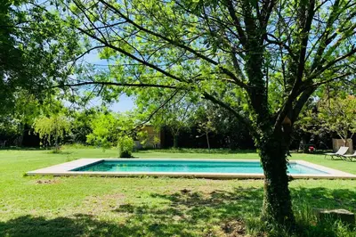 a swimming pool in a yard with a tree at House with heated swimming pool and breathtaking views of the Luberon in Robion en Luberon