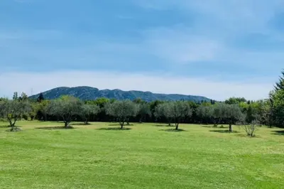a field of green grass with trees and mountains in the background at House with heated swimming pool and breathtaking views of the Luberon in Robion en Luberon