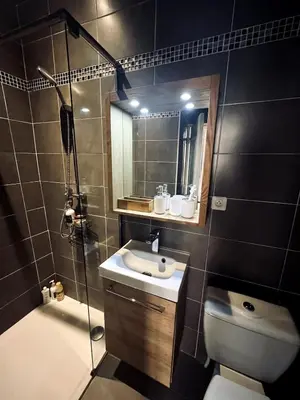 a bathroom with a toilet and a sink and a shower at Bel Appartement dans le centre d'Aix-en-Provence in Aix-en-Provence