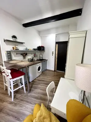 a kitchen and living room with a table and chairs at Bel Appartement dans le centre d'Aix-en-Provence in Aix-en-Provence
