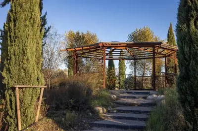 a wooden pergola in a garden with trees at Domaine de la Myrtille in Pertuis