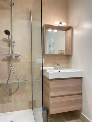 a bathroom with a shower and a sink at Studio cosy en Provence avec parking Le Monaco in Aix-en-Provence