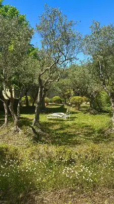 a park with a white bench in a field with trees at Mas exceptionnel à Lagnes, Provence in Lagnes