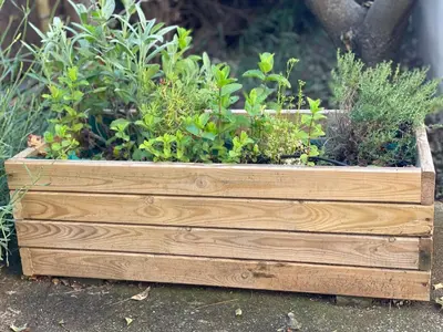 a wooden planter with plants in it at Gîte Les Alpilles in Eygalières