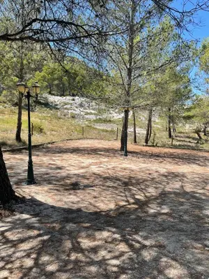 a park with two trees and a street light at Mazet Arlequine in Eygalières