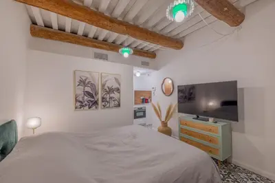 a bedroom with a large bed and a tv at Appartement Belle Lettre 2 in Aix-en-Provence