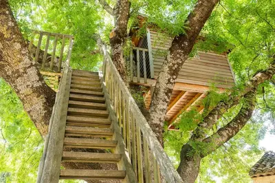 a staircase leading up to a tree house at Cabane Perchée avec Jacuzzi, au Coeur du Luberon in Oppède