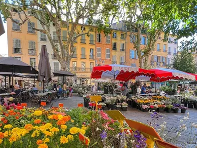 an outdoor market with flowers and umbrellas and buildings at Le Jardinet de la Cathédrale in Aix-en-Provence