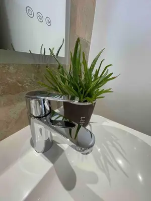 a plant in a pot sitting on top of a sink at Duplex indépendant avec clim et parking St Donat in Aix-en-Provence