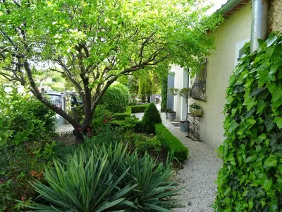a garden with plants and a tree and a building at 