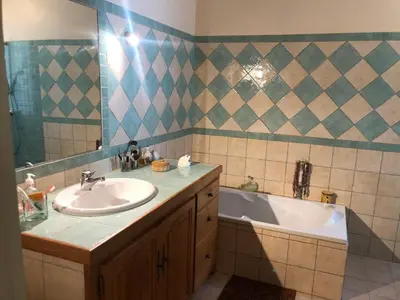 a bathroom with a sink and a bath tub at La maison du bon remède in Mazan