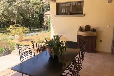 a dining room table and chairs with a plant on it at La maison du bon remède in Mazan