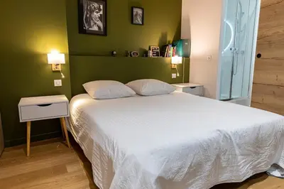 a bedroom with a large white bed with green walls at Appartement centre Aix Terrace et ascenseur in Aix-en-Provence