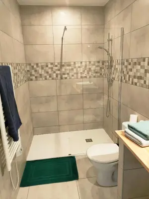 a bathroom with a shower and a toilet and a sink at Joli appartement Urbain in Cavaillon