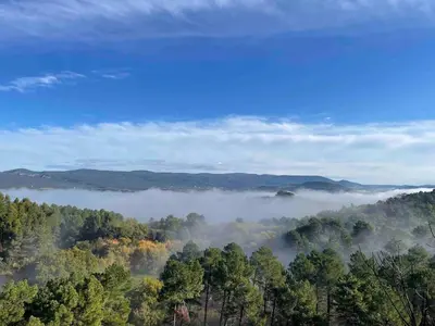 an aerial view of a forest with fog in the valley at Apartment Roussillon village Ocre Air conditioning in Roussillon
