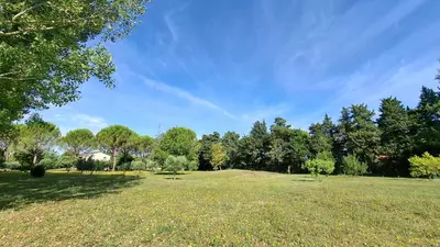 a large grass field with trees in the background at Maison au bord de l'eau in Le Thor