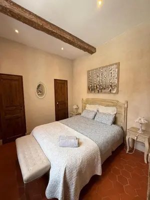 a bedroom with a large bed with a white blanket at Bel appartement aixois dans le centre historique in Aix-en-Provence