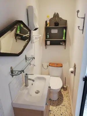 a small bathroom with a toilet and a sink at Gîte de la treille in LʼIsle-sur-la-Sorgue