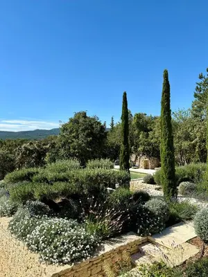 a garden with white flowers and cypress trees at Le jardin suspendu in Gordes