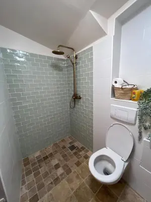a bathroom with a white toilet and a shower at 2 rooms very well located in L'Isle-sur-la-Sorgue in LʼIsle-sur-la-Sorgue