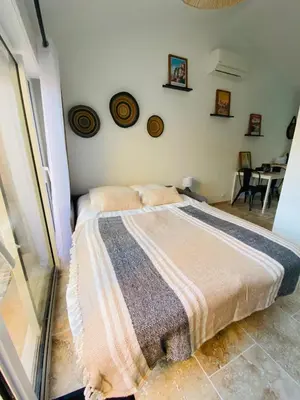 a bedroom with a bed with a blanket on it at Le studio de Marie in Noves