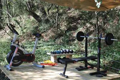 a gym with a fitness machine and a rack of balls at Quiet Provencal bastide with pool close Lourmarin in Lauris