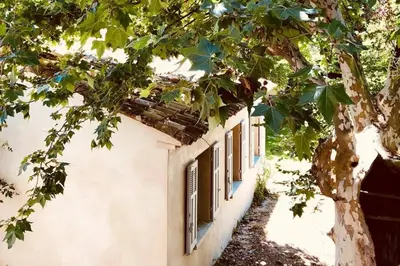 a white building with blue windows and a tree at Le Poulailler, private house with garden and parking in Aix-en-Provence