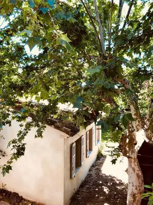 a building with a tree in front of it at Le Poulailler, private house with garden and parking in Aix-en-Provence
