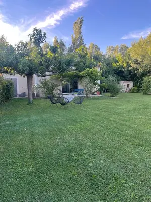 two benches sitting in a yard with a tree at Maison d'hôte en Provence avec petit déjeuner in Mollégès